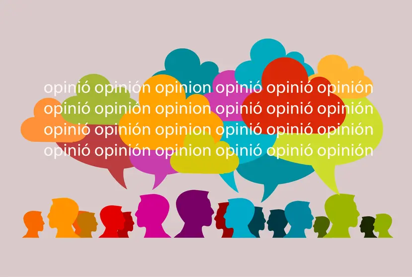 DEF OPINION